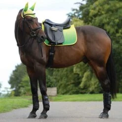 Weatherbeeta Prime Ombre Dressage Saddle Pad -Lemieux Shop 1002677w c1141 alt1