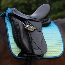 Weatherbeeta Prime Ombre Dressage Saddle Pad -Lemieux Shop 1002677w c1168
