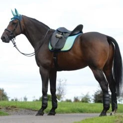 Weatherbeeta Prime Ombre Dressage Saddle Pad -Lemieux Shop 1002677w c1168 alt1