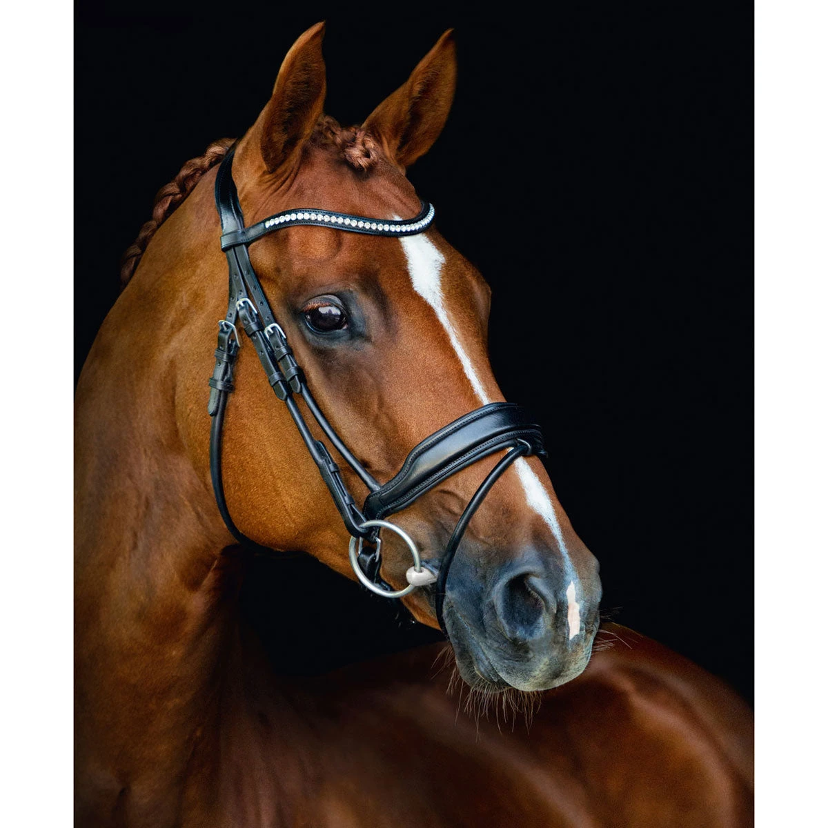 Schockemohle Malibu Antatomic Dressage Bridle 3 Schockemohle Malibu Antatomic Dressage Bridle