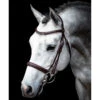 Schockemohle Montreal Select Anatomic Bridle