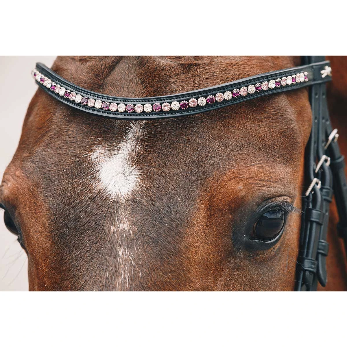 Schockemohle Select And Mix Diamond Browband 6 Schockemohle Select And Mix Diamond Browband - Image 4