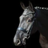 Schockemohle Milan Anatomic Dressage Double Bridle