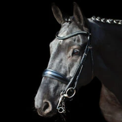 Schockemohle Milan Anatomic Dressage Double Bridle