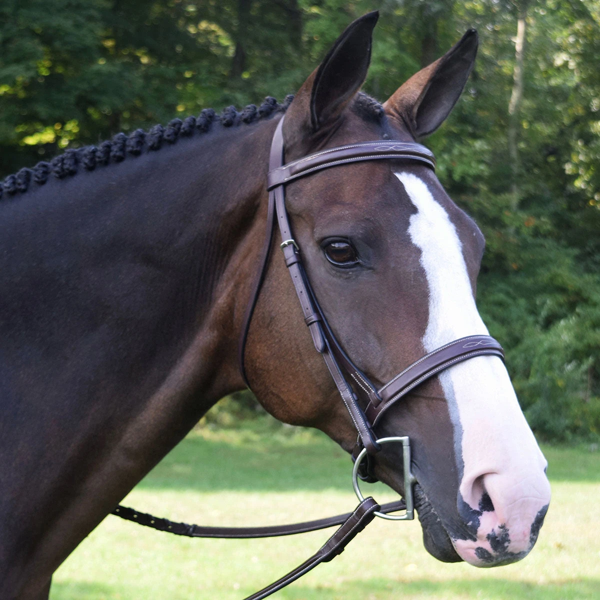 Black Oak Spruce Fancy Stitch Hunter Bridle 3 Black Oak Spruce Fancy Stitch Hunter Bridle