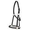 Walsh Nylon Halter .75 Inch -Lemieux Shop 1136 c1105