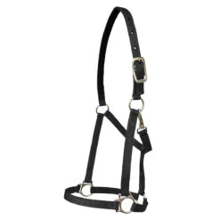 Walsh Nylon Halter .75 Inch