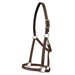 Walsh Nylon Halter .75 Inch -Lemieux Shop 1136 c1109