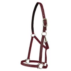 Walsh Nylon Halter .75 Inch -Lemieux Shop 1136 c1110