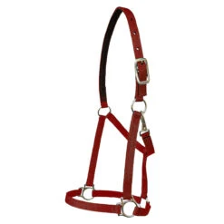 Walsh Nylon Halter .75 Inch -Lemieux Shop 1136 c1158