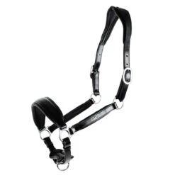 Schockemohle Fremont Anatomic Leather Halter 9 Schockemohle Fremont Anatomic Leather Halter -Lemieux Shop 1310 00012 c1105 alt3