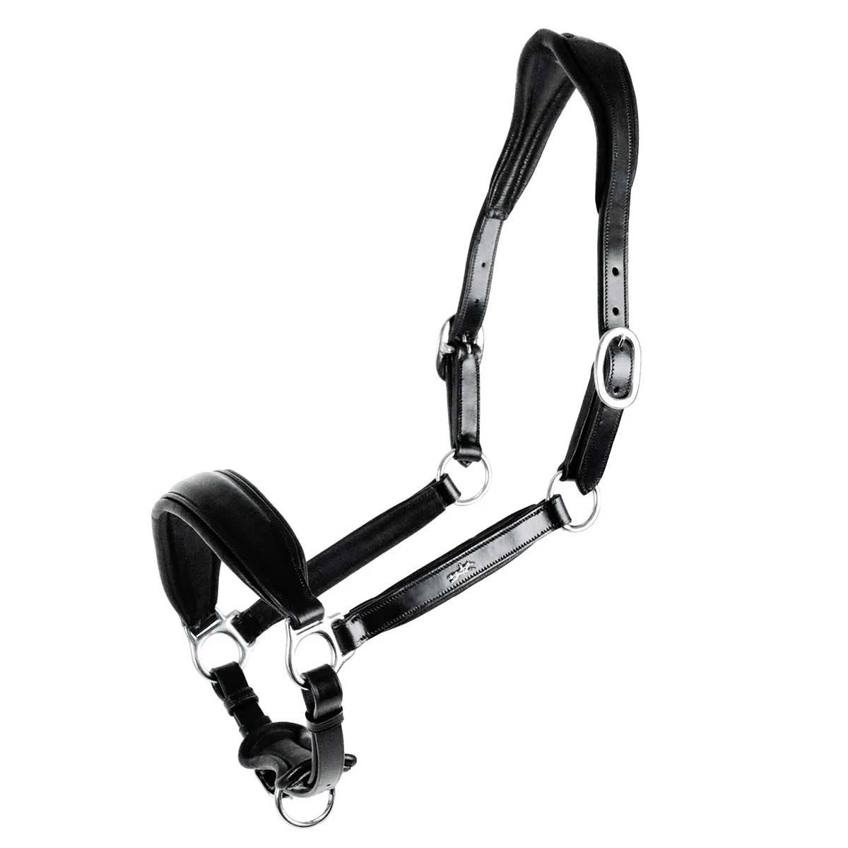 Schockemohle Fremont Anatomic Leather Halter 5 Schockemohle Fremont Anatomic Leather Halter - Image 3