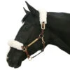 Back On Track Therapeutic Fleece Halter Covers - 2 Pcs -Lemieux Shop 2061c c1172