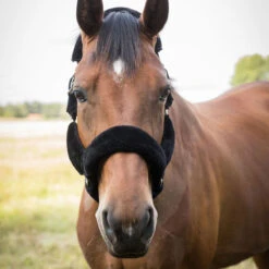 Back On Track Audrey Therapeutic Fleece Halter -Lemieux Shop 2069c c1105 alt2