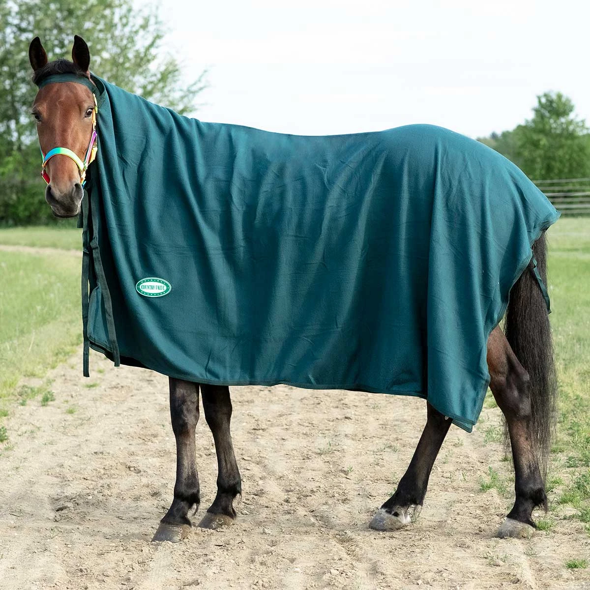 Country Pride Polar Fleece Square Cooler 4 Country Pride Polar Fleece Square Cooler - Image 2