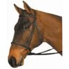Wintec Synthetic English Bridle Reg Noseband -Lemieux Shop 2286w c1105