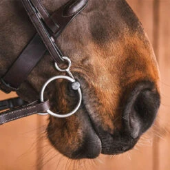 Fager Fredric Titanium Loose Baucher Bit - Test Ride Bit -Lemieux Shop 22fred b 4