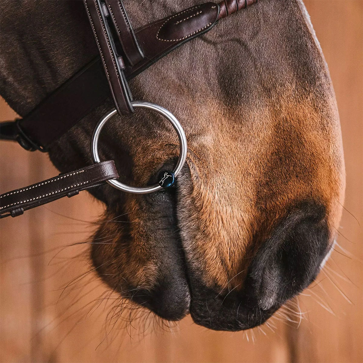 Fager Oscar Titanium Loose Ring Bit - Test Ride Bit 4 Fager Oscar Titanium Loose Ring Bit - Test Ride Bit - Image 2