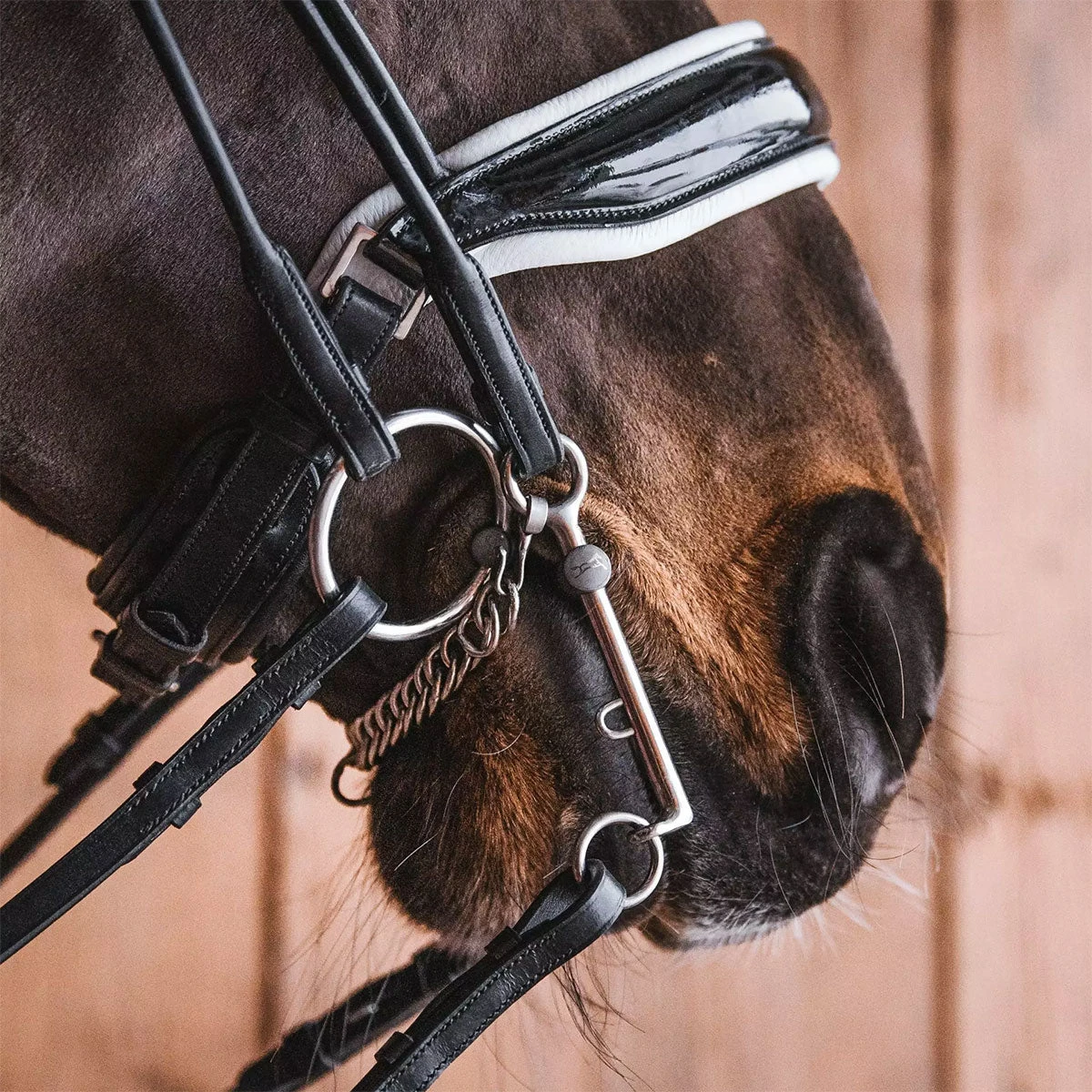 Fager Sofia Titanium Weymouth Bit - 7cm - Test Ride Bit 4 Fager Sofia Titanium Weymouth Bit - 7cm - Test Ride Bit - Image 2