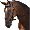M Toulouse Euro Dressage Bridle 1 M Toulouse Euro Dressage Bridle -Lemieux Shop 3014m c1105
