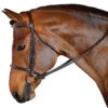 M Toulouse MTL Standard Hunter English Bridle -Lemieux Shop 3015m c1109