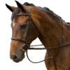 M Toulouse Novice Fancy Stitched Hunter Bridle 2 M Toulouse Novice Fancy Stitched Hunter Bridle -Lemieux Shop 3023m c1109
