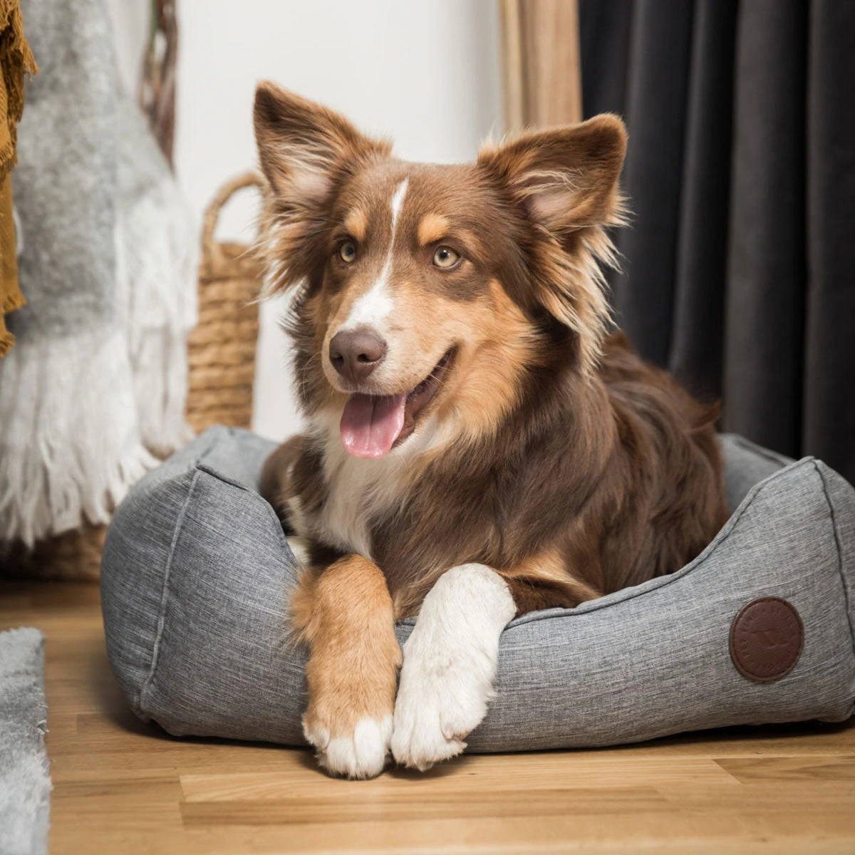 Back On Track Rocky Dog Therapeutic Bed 4 Back On Track Rocky Dog Therapeutic Bed - Image 2