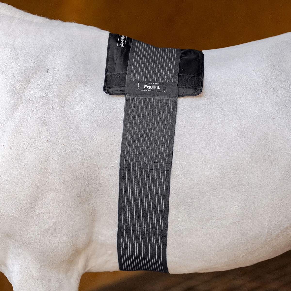 EquiFit GelCompression BackPack 3 EquiFit GelCompression BackPack