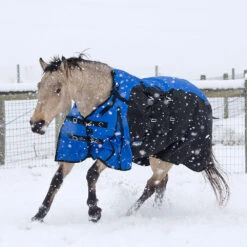 Tough 1 Bellyband 1200D Turnout Blanket With Snuggit Neck 250 Gm -Lemieux Shop 32 12250 c1106 alt1