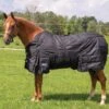 Tough 1 600D Stable Blanket With Belly Wrap 250g -Lemieux Shop 32 8010 c1105