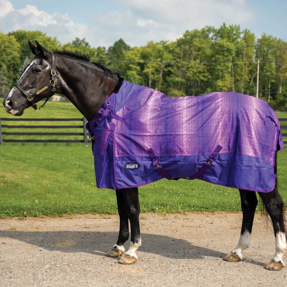 Tough 1 1200D Chevron Turnout Sheet With Snuggit Neck 3 Tough 1 1200D Chevron Turnout Sheet With Snuggit Neck