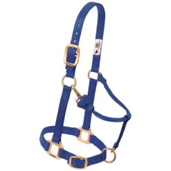 Weaver Leather Weaver Nylon Halter - Suckling Size -Lemieux Shop 35 1030 c1106