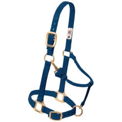 Weaver Leather Weaver Nylon Halter - Suckling Size -Lemieux Shop 35 1030 c1146