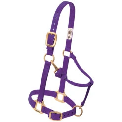 Weaver Leather Weaver Nylon Halter - Suckling Size -Lemieux Shop 35 1030 c1157