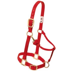 Weaver Leather Weaver Nylon Halter Weanling Pony Size -Lemieux Shop 35 1032 c1158