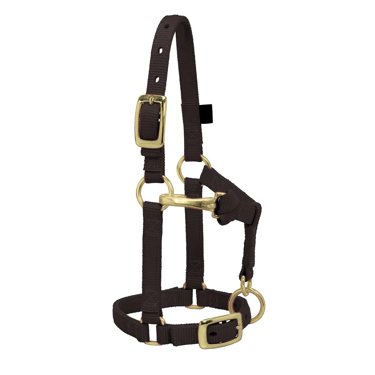 Weaver Leather Weaver Miniature Horse Adjustable Nylon Halter Large 7 Weaver Leather Weaver Miniature Horse Adjustable Nylon Halter Large - Image 5