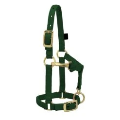 Weaver Leather Weaver Miniature Horse Adjustable Nylon Halter Large 11 Weaver Leather Weaver Miniature Horse Adjustable Nylon Halter Large -Lemieux Shop 35 4805 c1129
