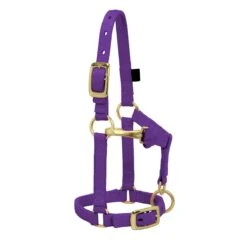 Weaver Leather Weaver Miniature Horse Adjustable Nylon Halter Large 14 Weaver Leather Weaver Miniature Horse Adjustable Nylon Halter Large -Lemieux Shop 35 4805 c1157
