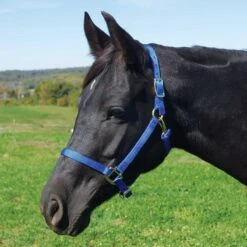 Weaver Leather Weaver Nylon Halter Average - Arabian Size -Lemieux Shop 35 5035 c1106