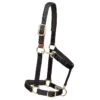 Weaver Leather Weaver Breakaway Padded Nylon Halter 2 Weaver Leather Weaver Breakaway Padded Nylon Halter -Lemieux Shop 35 6075 c1105