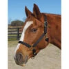 Weaver Leather Weaver Nylon Halter Average Horse Size -Lemieux Shop 35 7035 c1105