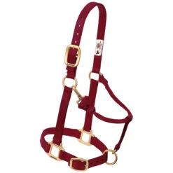 Weaver Leather Weaver Nylon Halter Average Horse Size 17 Weaver Leather Weaver Nylon Halter Average Horse Size -Lemieux Shop 35 7035 c1110