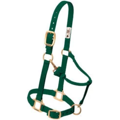 Weaver Leather Weaver Nylon Halter Average Horse Size 19 Weaver Leather Weaver Nylon Halter Average Horse Size -Lemieux Shop 35 7035 c1129