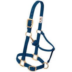 Weaver Leather Weaver Nylon Halter Average Horse Size 20 Weaver Leather Weaver Nylon Halter Average Horse Size -Lemieux Shop 35 7035 c1146