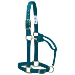 Weaver Leather Weaver Nylon Halter Average Horse Size 26 Weaver Leather Weaver Nylon Halter Average Horse Size -Lemieux Shop 35 7035 c1168 1ac34410 e419 44f8 ac2c a2815738a9c3