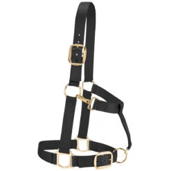 Weaver Leather Weaver Draft Horse Halter Nylon - Average Draft Size 7 Weaver Leather Weaver Draft Horse Halter Nylon - Average Draft Size -Lemieux Shop 35 7635 c1105 4a97225d 0d2d 4003 8519 9d1ec7cf782f