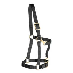 Weaver Leather Weaver Draft Horse Halter Nylon - Large Draft