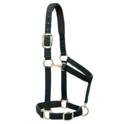 Weaver Leather Weaver Padded Adjustable Nylon Halter -Lemieux Shop 35 77w c1105 8c89fba0 ecf7 466a b55e 1826c0665aa0