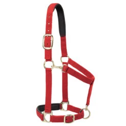 Weaver Leather Weaver Padded Adjustable Nylon Halter -Lemieux Shop 35 77w c1158