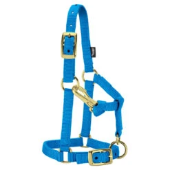 Weaver Leather Weaver Miniature Horse Nylon Halter - Average Size 11 Weaver Leather Weaver Miniature Horse Nylon Halter - Average Size -Lemieux Shop 3760 c1130